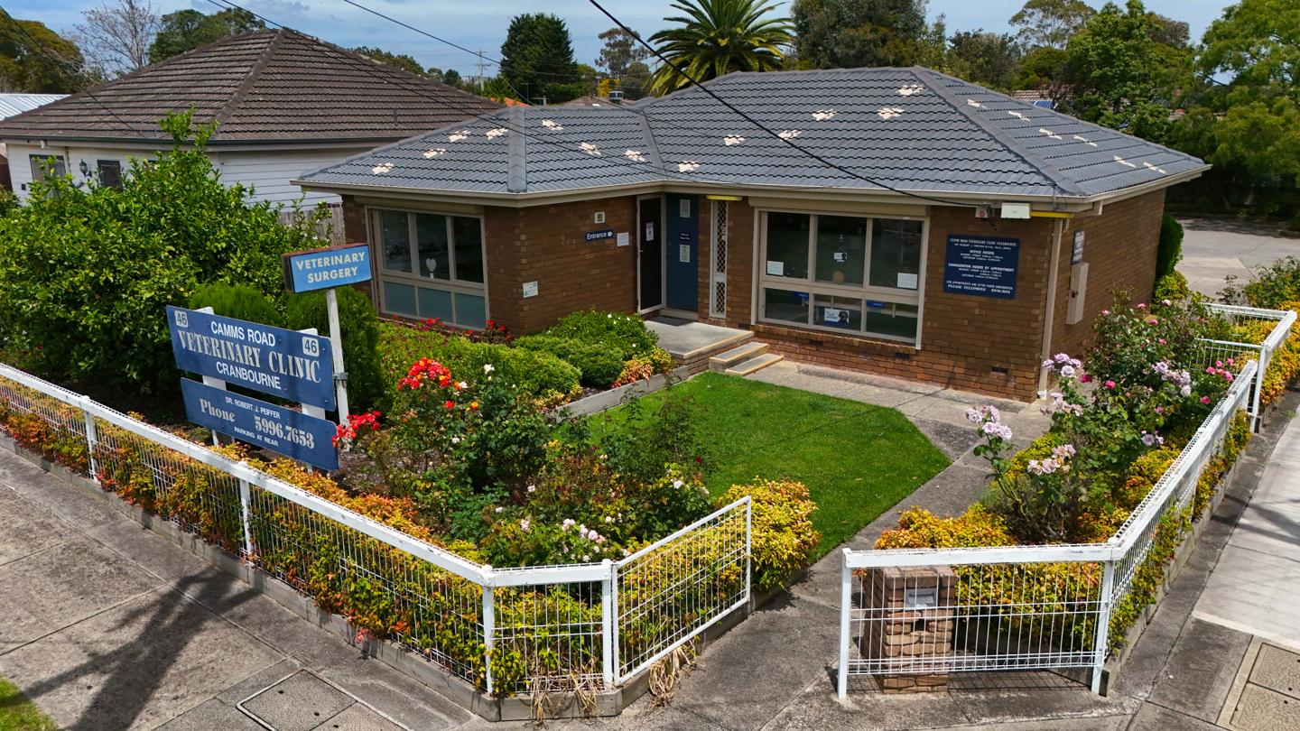 Street view of Camms Road Veterinary Clinic in Cranbourne, a brick building with a manicured garden and welcoming entrance